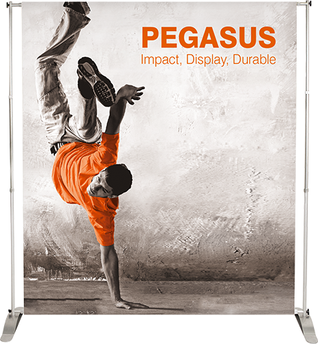 Pegasus-2014