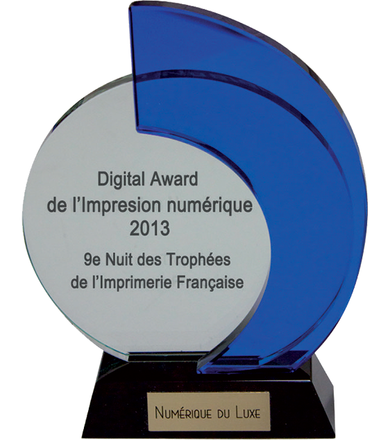 digital-award-2013